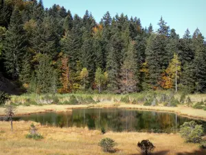 Lac Luitel - Réserve naturelle du lac Luitel : plan d'eau, tourbière, arbustes et arbres en automne ; dans le massif de Belledonne, sur la commune de Séchilienne