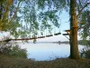 Lac de Madine - Parcours d'accrobranche au bord de l'eau