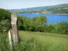 Lac de Paladru - Pâturage, arbres et plan d'eau (lac d'origine glaciaire)