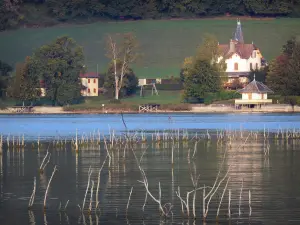 Lac de Paladru - Plan d'eau (lac naturel d'origine glaciaire), rive, maisons, arbres et champ