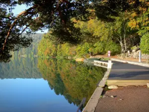 Lac Pavin - Depuis la rive, vue sur les arbres (forêt) se reflétant dans les eaux du lac ; dans le Parc Naturel Régional des Volcans d'Auvergne, dans le massif du Sancy (monts Dore)