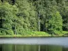 Lac de Saint-Agnan - Lac artificiel et sa rive boisée ; dans le Parc Naturel Régional du Morvan