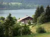 Le lac de Saint-Point - Lac de Saint-Point: Lac de Malbuisson (lac naturel), rives, chalet et arbres