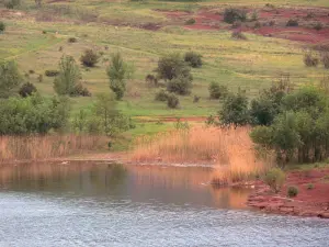 Lac du Salagou - Retenue d'eau, rive, roseaux, roche rouge, arbres et herbage