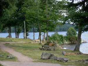 Lac des Settons - Rive agrémentée de tables de pique-nique, et arbres au bord du plan d'eau ; dans le Parc Naturel Régional du Morvan