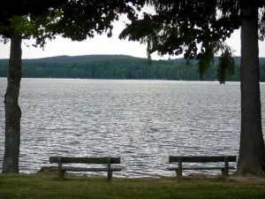 Lac des Settons - Bancs avec vue sur le lac artificiel ; dans le Parc Naturel Régional du Morvan
