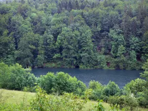 Lac du Vernois - Plan d'eau, arbres et arbustes