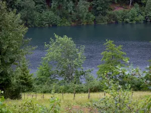 Lac du Vernois - Plan d'eau, arbres et arbustes