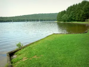 Lac des Vieilles-Forges - Vue sur le lac entouré de verdure