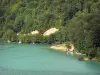 Lac de Vouglans - Rive plantée d'arbres et retenue d'eau (lac artificiel)
