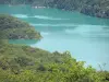 Lac de Vouglans - Retenue d'eau (lac artificiel) et rives plantées d'arbres