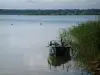 Lacs de la forêt d'Orient - Lac du Temple avec des roseaux (plantes aquatiques) et une barque de pêche, forêt en arrière-plan (Parc Naturel Régional de la Forêt d'Orient)
