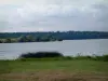 Lacs de la forêt d'Orient - Rive, roseaux, lac du Temple, arbres dans l'eau et forêt au loin (Parc Naturel Régional de la Forêt d'Orient)