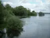 Laghi della foresta d'Oriente - Santuario degli uccelli in East Lake con piante d'acqua e alberi, le nuvole nel cielo (Parc Naturel Régional de la Forêt d'Orient)