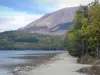 Laghi di Laffrey - Lago di Pierre-Chatel, shore, alberi, foreste e montagne