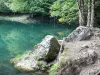 Lago di Bethmale - Bethmale smeraldo stagno, banca e alberi lungo l'acqua nel Parco Naturale Regionale dei Pirenei dell'Ariège, in Couserans, nella valle di Bethmale