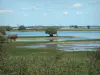 Lago de Der-Chantecoq - Cañas, aves, masas de agua (lago artificial), bancos, árboles, nubes en el cielo