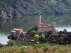 Lago di Grangent - Gole del castello della Loira e l'isola Grangent, ritenzione idrica e gli alberi in riva al mare