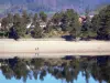 Lago di Issarlès - Alberi che riflettono nel lago