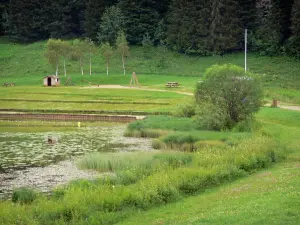 Lago di Lamoura - Altitudine lago, litorale e parco giochi e pic-nic nel Parc Naturel Régional du Haut-Jura