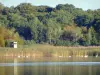 Lago di Madine - Parco Naturale Regionale della Lorena - Il lago e la sua riva selvaggia