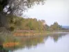 Lago di Madine - Parco Naturale Regionale della Lorena - Specchio d'acqua e la sua sponda selvaggia