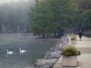 Lago de Nantua - Paseo de flores junto al lago y los cisnes flotando en el agua en el Alto Bugey