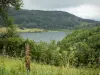 Lago de Narlay - Cuerpo de agua, árboles, bosques, cerca en el primer plano