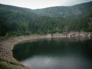 Lago Nero - In un circo glaciale, il lago circondato da alberi (foresta)