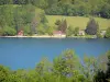 Lago di Paladru - Lago naturale di origine glaciale, le case lungo i prati, le acque e gli alberi