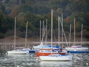 Lago de Paladru - Barcos en el lago