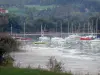 Lago de Paladru - Veleros en el lago, la costa y los árboles