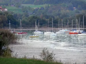 Lago de Paladru - Veleros en el lago, la costa y los árboles