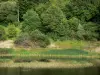 Lago de Pannecière - Lago artificial (lago-embalse-Pannecière Fairlead), la flora acuática y la costa con los árboles, en el Parque Natural Regional de Morvan