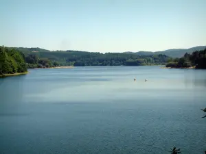 Lago de la Raviège - Y en Lake Forest (Parque Natural Regional del Alto Languedoc)