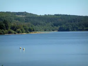 Lago de la Raviège - Lago con boyas amarillas, tierra, árboles y los bosques (Parque Natural del Alto Languedoc)