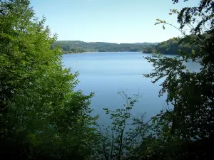 Lago de la Raviège - Los árboles en primer plano, el lago y el bosque (Parque Natural del Alto Languedoc)