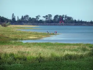 Lago de Saint-Ferréol - Del Banco, un estanque y los árboles