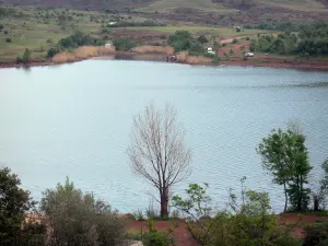 Lago di Salagou - Reservoir, fiume le banche e gli alberi