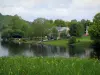 Lago di Vassivière - Erbe e fiori selvatici in primo piano, lago artificiale, a terra, case e alberi