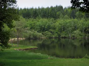 Lago di Vassivière - Banche, lago artificiale e alberi