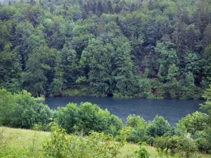 Lago del Vernois - Corpo d'acqua, alberi e arbusti