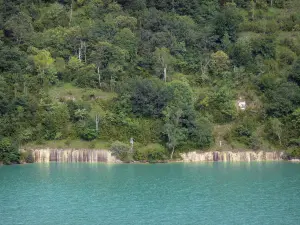 Lago de Vouglans - Los árboles en la orilla del agua