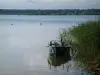 Lagos del bosque de Orient - Templo del lago con cañas (plantas acuáticas) y un barco de pesca, los bosques en el fondo (Parque Natural Regional del Oriente-Forêt d')