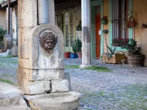 Lagrasse - Brunnen und Fassade geschmückt mit Blumen