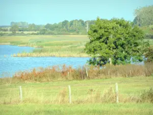 Lahaussee Regional Nature Reserve - Lachaussee pond and its preserved banks