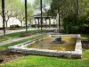 Lamalou-les-Bains - Place de la station thermale avec bassin à jet d'eau, bancs, arbres et kiosque