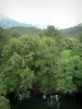 Landesinnere von Korsika - Fluss und Wald