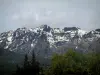 Landesinnere von Korsika - Bäume und Berge mit verschneiten Gipfeln