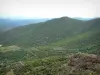 Landesinnere von Korsika - Hügel, bedeckt mit Büschen und Bäumen